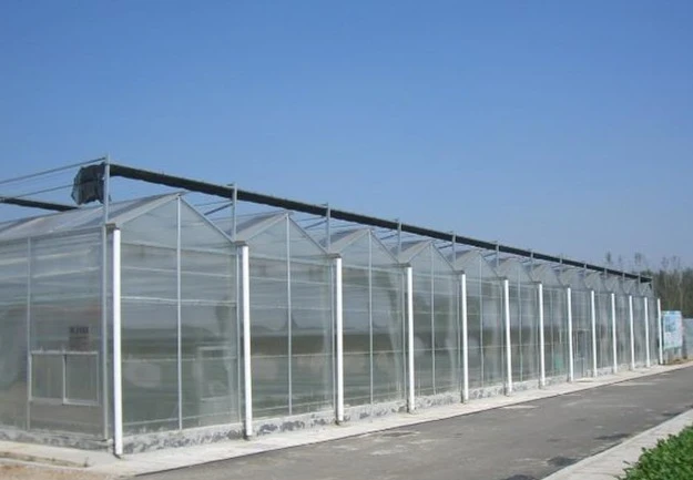 Polycarbonate Greenhouse