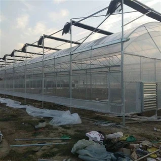 200 माइक्रोन यूवी प्लास्टिक फिल्म ग्रीनहाउस