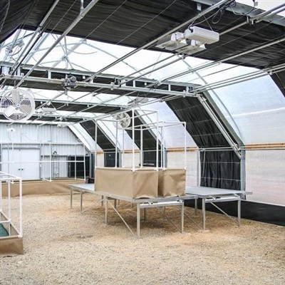 ग्रीनहाउस ब्लैकआउट